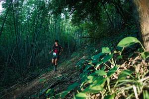 BIB: 
                            <button type="button" onclick="openModal(28124704)" class="btn btn-primary btn-sm float-right btn-popup" data-toggle="modal" data-target=".modal-high-quality">
                        <i class="fas fa-shopping-cart"></i> Add to Cart
                    </button>
                                            <button type="button" onclick="isThisMe(28124704, true)" class="btn btn-success btn-sm float-right btn-popup btn-isme hidden" data-toggle="tooltip" data-placement="bottom" title="นี่คือรูปของคุณใช่ไหม คลิกที่นี่เพื่อเอาเข้าอัลบั้ม">
                        <i class="fas fa-plus"></i> Add to album
                    </button>
                    <button type="button" onclick="isThisMe(28124704, false)" class="btn btn-warning btn-sm float-right btn-popup btn-isnotme hidden">
                        <i class="fas fa-ban"></i> Remove from album
                    </button>